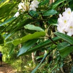 adventure tourism have become increasingly important drivers of the state's visitor economy. (Photo: David Sibray)