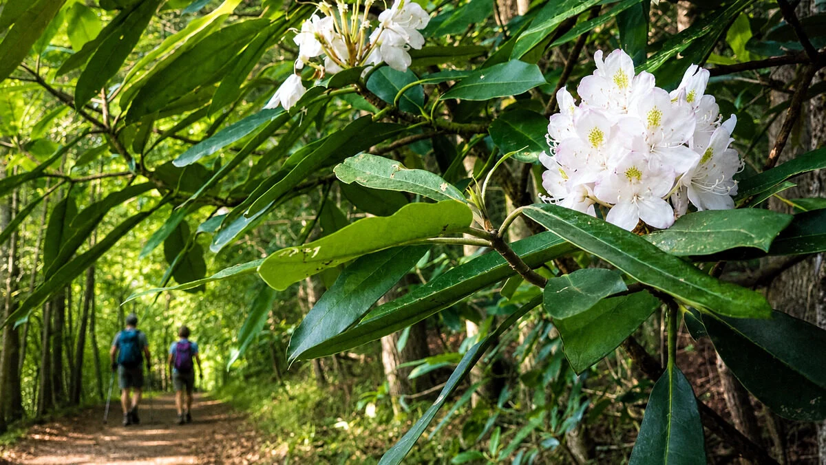 adventure tourism have become increasingly important drivers of the state's visitor economy. (Photo: David Sibray)