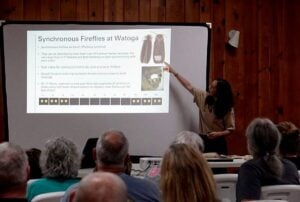Krista Noe leads a discussion of West Virginia fireflies at Watoga State Park.