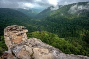 Lindy Point overlooks the dramatic cliffs and forested depths of Blackwater Canyon in Tucker County, West Virginia.