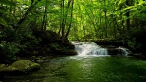 Allegheny Highlands Real Estate: Mill Creek in Kumbrabow State Forest