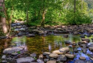 Pebble-lined backwaters along the New River provide peaceful places to pause, illustrating the quieter character of the southern district of New River Gorge National Park and Preserve beyond the park's busiest attractions. (Photo: Rick Burgess)