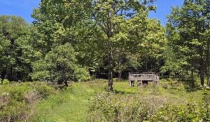 An observation platform rises in the meadow at Fort Cheat Summit. (Photo: David Sibray)