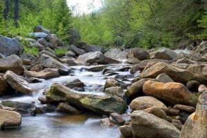 Red Creek Trail, Dolly Sods, West Virginia