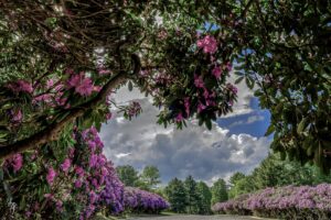 New River Gorge real estate is prized for its dramatic scenery.