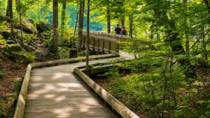 A visitor follows the boardwalk through a riverside forest toward the natural area surrounding Sandstone Falls, the largest waterfall on the New River and one of the signature attractions in the southern section of New River Gorge National Park and Preserve.