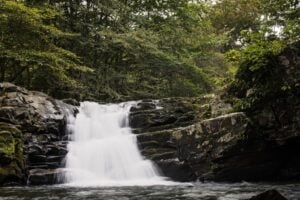 Seneca Creek Falls on Seneca Creek Trail, Monongahela National Forest