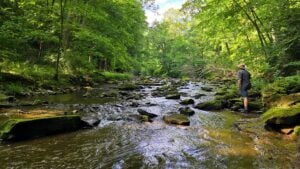 West Virginia Explorer publisher David Sibray explores a remote section of Tomlinson Run within Tomlinson Run State Park. The park protects one of the largest remaining forested watersheds in West Virginia's Northern Panhandle and supports plant communities uncommon elsewhere in the region.
