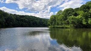 The north and south forks of Tomlinson Run join in Tomlinson Run Lake.