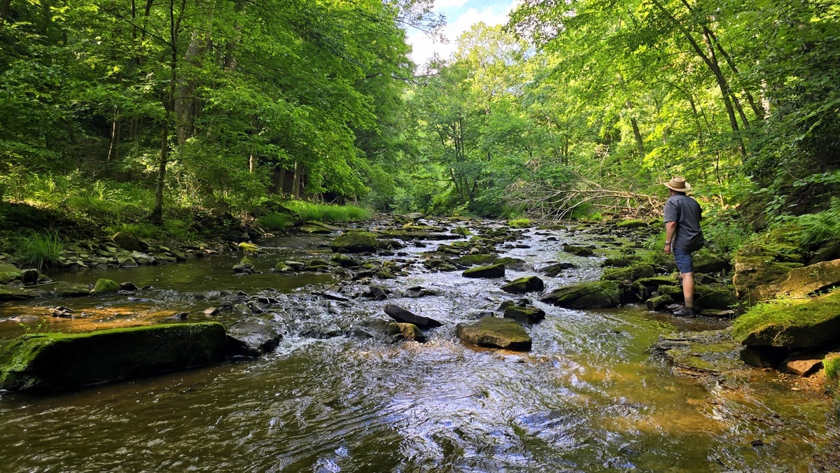 West Virginia Explorer publisher David Sibray explores a remote section of Tomlinson Run within Tomlinson Run State Park. The park protects one of the largest remaining forested watersheds in West Virginia's Northern Panhandle and supports plant communities uncommon elsewhere in the region.