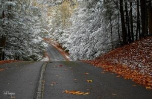 The Grandview Rim Trail nearly follows the Turkey Spur Rock Road into the far north of the Grandview area. (Photo courtesy Rick Burgess)