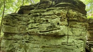 Small pits scattered across Beartown's sandstone formations reveal the slow work of erosion, as water and weather gradually sculpt the rock grain by grain.