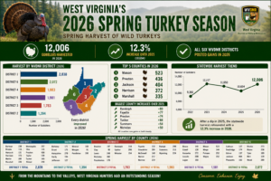 Infographic: West Virginia hunters harvested 12,006 bearded wild turkeys during the 2026 spring gobbler season, a 12.3% increase over 2025. Every WVDNR district posted gains, led by District 1 with 2,838 birds. Data: West Virginia Division of Natural Resources.
