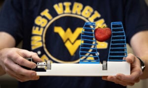 A new WVU-developed robotic gripper could help West Virginia strawberry growers reduce spoilage, improve fruit quality, and expand specialty crop markets.