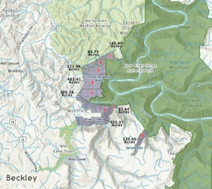 This map shows the five tracts acquired by the Arc of Appalachia at auction near Beckley. Together, the nearly 2,000 acres protect key sections of the Piney Creek Gorge and Stretcher Neck while preserving a critical corridor for a future trail linking Beckley with New River Gorge National Park and Preserve. Conservation at work!