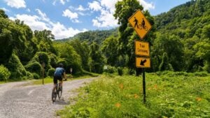 A cyclist rides near a trail crossing along the Clear Fork Rail Trail, reflecting Raleigh County's growing emphasis on outdoor recreation and trail connectivity.
