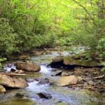 A clear mountain stream in West Virginia provides the cold, clean water required by native brook trout, whose presence signals some of Appalachia's healthiest waterways. More than 170 miles of streams have recently gained new state protections. (Photo: David Sibray)