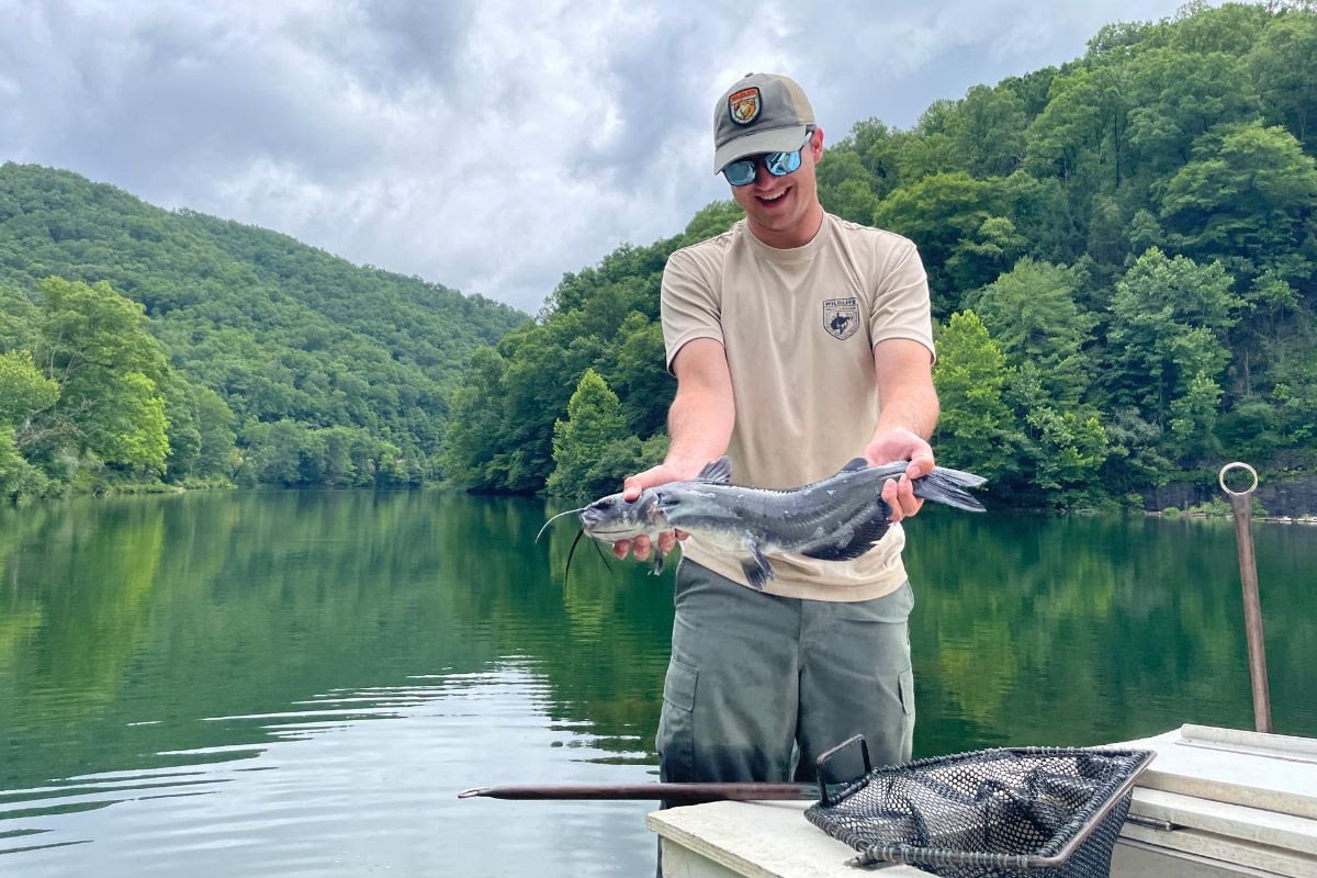 West Virginia has stocked more than 50 lakes and ponds with channel catfish for the summer, giving visitors and residents fresh opportunities to fish at state parks and public waters across the Mountain State. (Photo courtesy W.Va. Dept. of Commerce)