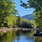 The Williams River winds through one of the most scenic and remote sections of West Virginia's Monongahela National Forest. Temporary road closures beginning July 20 will affect access to parts of the river corridor while the U.S. Forest Service repairs flood damage and improves stream crossings for native wildlife. (Photo: David Sibray)