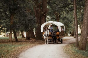 Visitors ride a horse-drawn wagon through Blennerhassett Island Historical State Park during Mansion by Candlelight. Wagon rides are included with admission to the Oct. 9–10 event. (Photo courtesy Greater Parkersburg CVB)