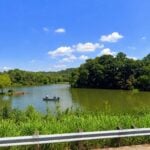 Turkey Run Lake near Ravenswood, West Virginia, is slated to be drained as the state removes its aging dam and restores Turkey Run to a free-flowing stream and wetland complex.