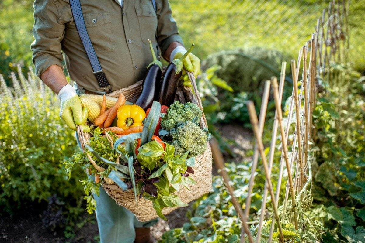 West Virginia state parks farm-to-table dinners return with local chefs, Appalachian flavors - West Virginia Explorer