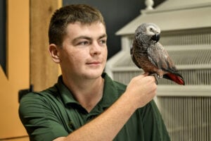 Bryson Stackpole, a West Virginia University senior from Paden City, works with animals at the Nemacolin Woodlands Wildlife Center, gaining hands-on experience as he prepares to pursue veterinary medicine. (WVU Photo/Jennifer Shephard)
