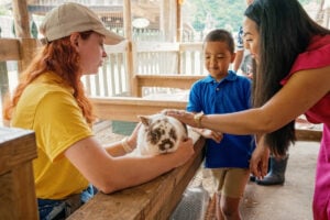 Visitors explore Critter Corner at Heritage Farm Museum and Village near Huntington, West Virginia. The interactive exhibit introduces children and adults to farm animals as part of the attraction's celebration of Appalachian life, wildlife and outdoor learning.