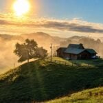 The mountain farm in north-central West Virginia where Adam’s Fire was filmed became an important part of the feature film’s setting. The movie opens Oct. 9, including at AMC Morgantown 12.