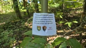 A bat monitoring station along McKendree Road in the New River Gorge National Park and Preserve collects ecological data as researchers study how bats move through the park. The project involves the National Park Service, West Virginia Division of Natural Resources and Virginia Tech.