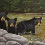 Black bears are featured in the 2027 West Virginia Wildlife Calendar in a painting by West Virginia wildlife artist Misty Murray-Walkup. The annual calendar features original artwork depicting wildlife native to the Mountain State. (WVDNR image)