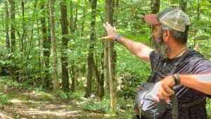 Levi Moore leads a hike through Stanaford Grove in Raleigh County, West Virginia. Moore says adults can help children connect with nature by giving them room to explore, ask questions and make discoveries outdoors rather than turning every outing into a lesson.