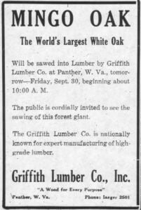 The Griffith Lumber Co. invited the public to Panther, West Virginia, to watch the Mingo Oak being sawed into lumber after the giant white oak was felled in September 1938. The advertisement promoted the tree as the “World’s Largest White Oak.”