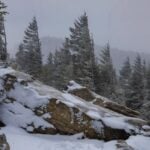 Snow and ice coat the high-elevation spruce forest at Spruce Knob, the highest point in West Virginia. Winter conditions can arrive in the Allegheny Mountains while lower elevations remain snow-free. (Photo courtesy Rick Burgess)