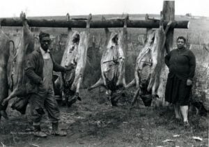 A man and woman stand beside butchered hogs hanging outdoors in an undated historical photograph. Hog killing was traditionally a late-autumn and early-winter activity in Appalachian communities, when cold weather helped families preserve pork for the months ahead. (Courtesy West Virginia & Regional History Center, WVU Libraries)
