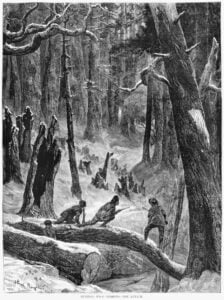 Hunters pursue wild turkeys through a wooded landscape in Hunting Wild Turkeys—The Attack, a 19th-century engraving signed by A. B. Houghton. Historical illustrations document the longstanding popularity of turkey hunting in America.
