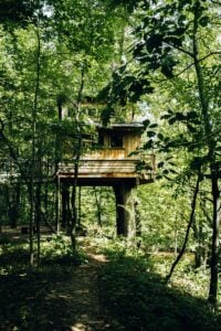 Rustic wooden treehouse nestled among mature trees in a lush, shaded woodland setting.