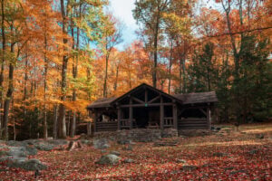 Rustic log picnic shelter surrounded by orange and golden autumn trees and fallen leaves at Coopers Rock State Forest, West Virginia.