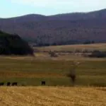 Farms north of Gap Mills, WV, Monroe County, Greenbrier Valley Reigon