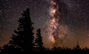 Johnson Personal Voyage Dolly Sods in West Virginia