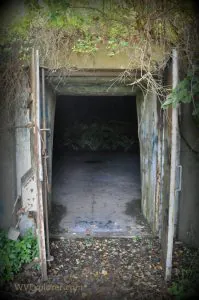 TNT bunkers at the McClintic Wildlife Management Area now hold fans of Mothman transfixed.