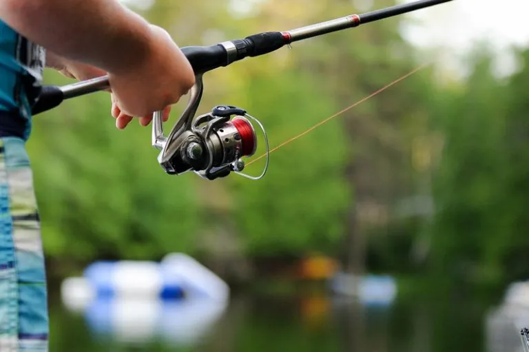Far from urban areas, lakes in West Virginia apparently boast more than their share of big fish.