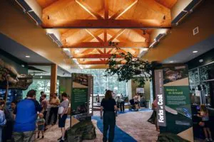 Tourists explore the Claudia Workman Wildlife Education Center at the Forks-of-Coal State Nature Center.