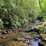 A catch-and-release trout stream, Barkers Creek babbles on its way past the McKinney Homestead.