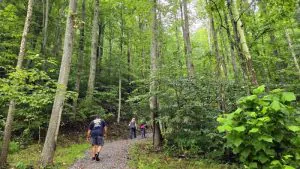Hatfield Cemetery Trail