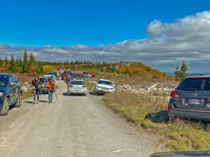 Dolly Sods Traffic Issues