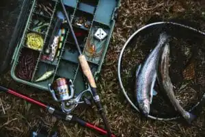 Diring in West Virginia: Fresh caught trout from a clear West Virginia stream is a delicacy on menus across many state traditions. 