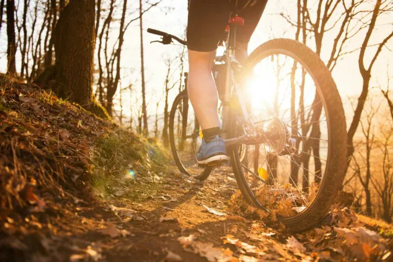 One of the largest networks on the East Coast, the routes activate thousands of miles of gravel roads across the Mon Forest for visitors and communities. (Photo: Getty Images)