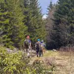 A new partnership is working to improve and maintain more than 500 miles of trail in the northern region of the Monongahela National Forest.