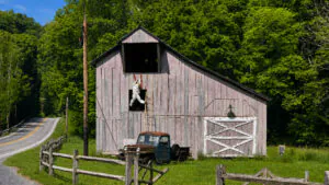 West Virginia Road Trips: A whimsical roadside display near Snowshoe Mountain illustrates the unexpected sights travelers encounter on West Virginia's scenic backroads. Discoveries ranging from mountain vistas to local landmarks are part of what makes the state's road trips memorable. (Photo: David Sibray)